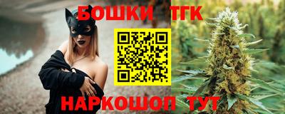 шишки Кандалакша
