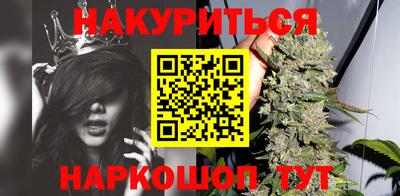 шишки Кандалакша