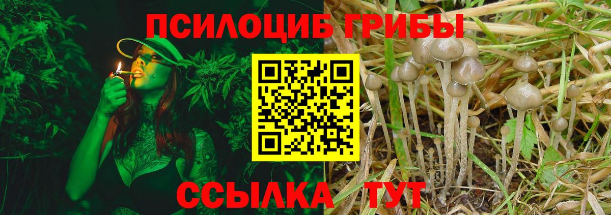 Псилоцибиновые грибы мухоморы  Вход с VPN  Лесозаводск 